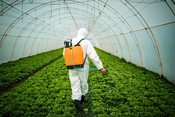 Best Pest Prevention Services  in Cedar Hill, TX