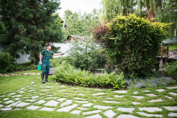 Best Wildlife Control Services  in Cedar Hill, TX