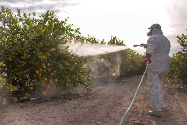 Best Commercial Pest Control Services  in Cedar Hill, TX