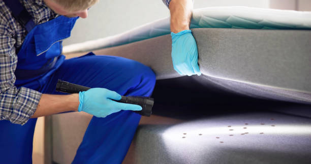 Best Residential Pest Control  in Cedar Hill, TX