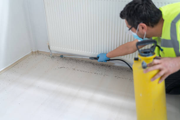 Reliable Cedar Hill, TX Pest Control Solutions