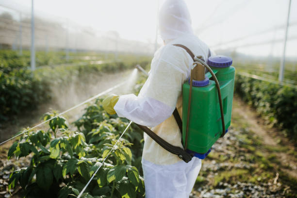 Best Best Pest Control Companies  in Cedar Hill, TX